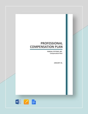 Professional Compensation Plan Template
