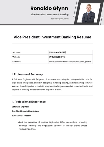 Free Vice President Investment Banking Resume Template to Edit Online