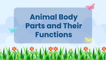 Free Animal Body Parts and Their Functions to Edit Online