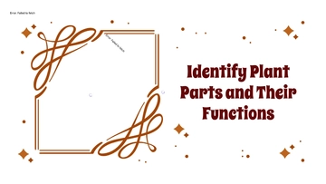 Free Identify Plant Parts and Their Functions to Edit Online