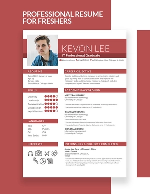 Professional Resume for Freshers