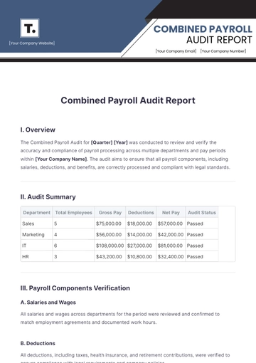 Free Combined Payroll Audit Report Template to Edit Online