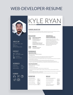 Web Developer Resume