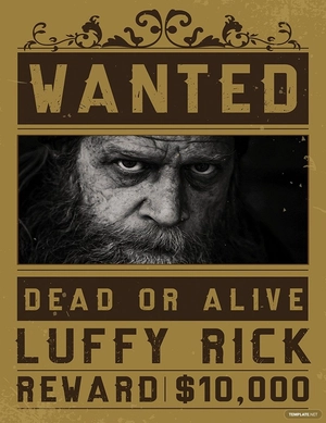 One Piece Wanted Poster Template