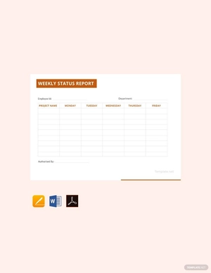Generic Weekly Status Report Template