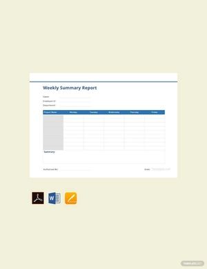 Weekly Summary Report Template