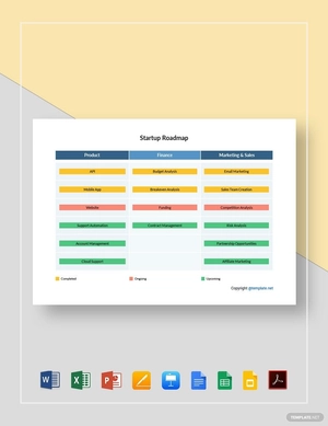 Sample Startup Roadmap Template