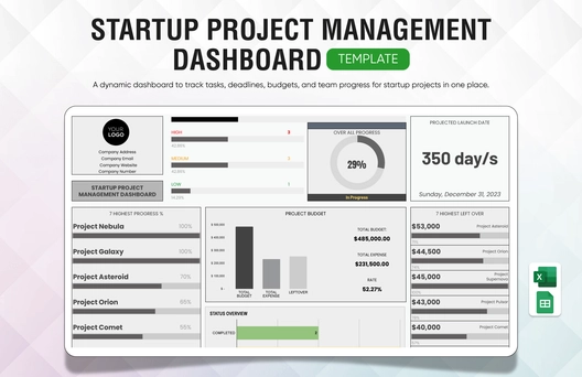 Startup Project Management Dashboard Template
