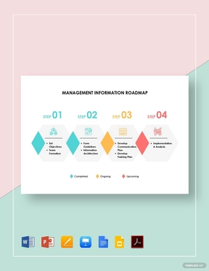 Management Information Roadmap Template