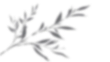 Free Shadow Overlay to Edit Online