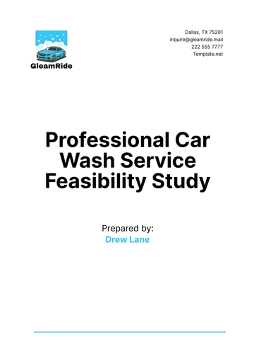 Free Professional Car Wash Service Feasibility Study Template to Edit Online
