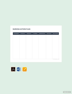 Sample Nursing Action Plan Template