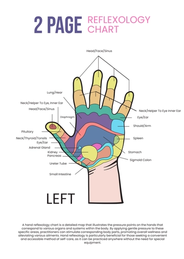 Free 2 Page Reflexology Chart Template to Edit Online