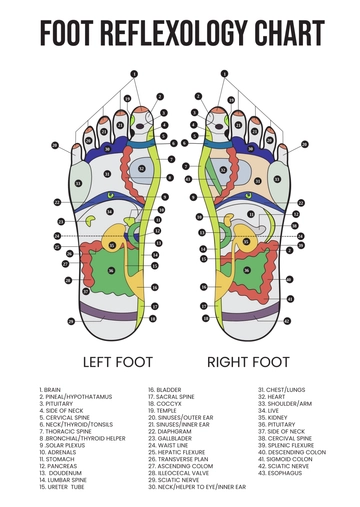 Free Foot Reflexology Chart Template to Edit Online