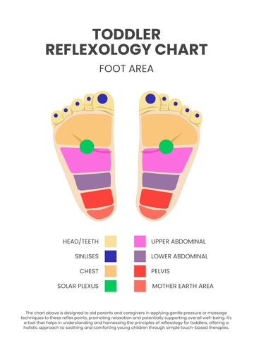 Free Toddler Reflexology Chart Template to Edit Online