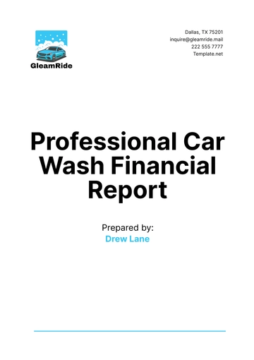 Free Professional Car Wash Financial Report Template to Edit Online