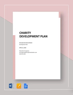 Charity Development Plan Template