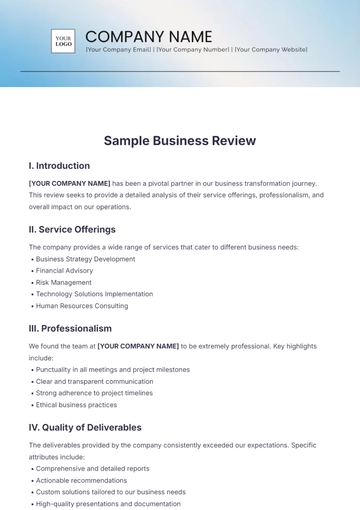Free Sample Business Review Template to Edit Online