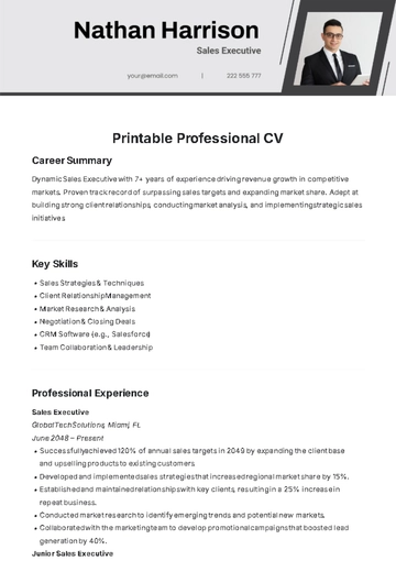 Free Printable Professional CV Template to Edit Online