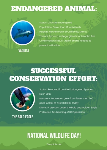 Free National Wildlife Day infographics Template to Edit Online