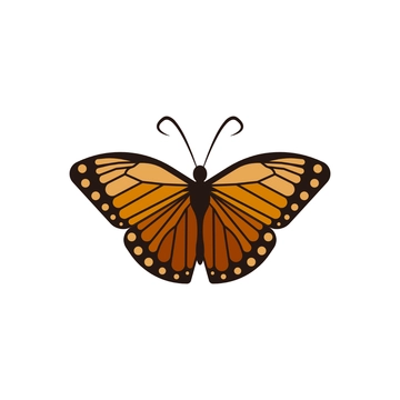 Free Realistic Butterfly Clipart to Edit Online
