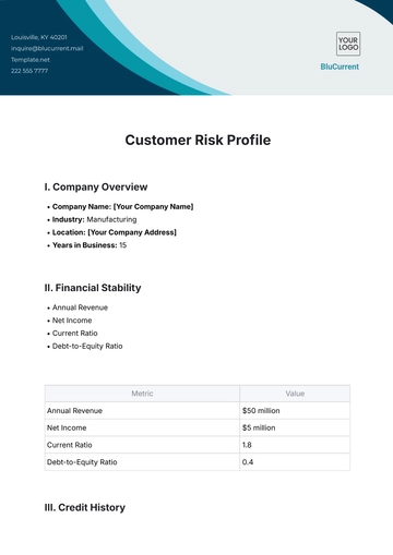 Free Customer Risk Profile Template to Edit Online | Template.net