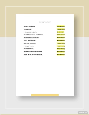 Video production Project Plan Template
