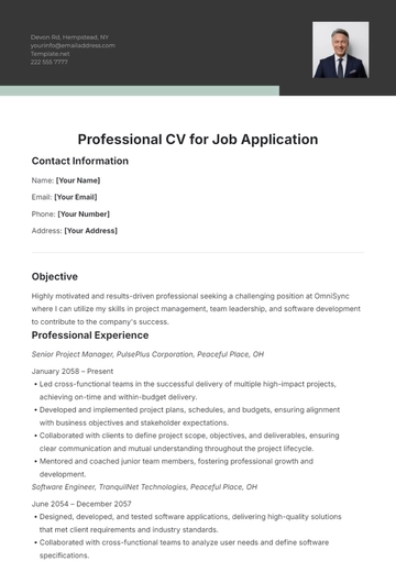 Free Professional CV Template for Job Application to Edit Online