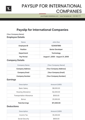 Free Payslip Template for International Companies to Edit Online