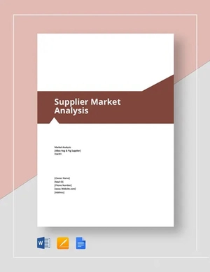 Supplier Market Analysis Template