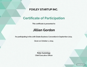 Modern Certificate of Participation Template