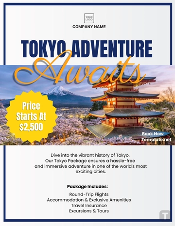 Free Travel Agency Package Flyer Template to Edit Online