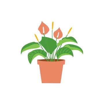 Free Peace Lily Plant Clipart to Edit Online