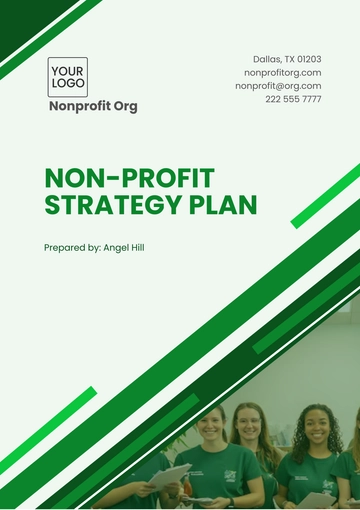 Free Non-Profit Strategy Plan Template to Edit Online