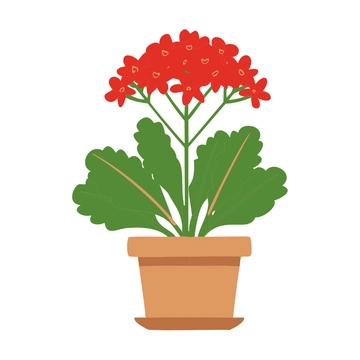 Free Tropical Indoor Plant Clipart to Edit Online