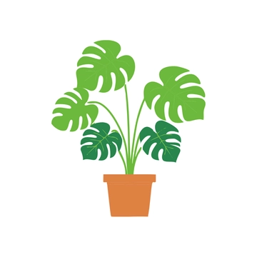 Free Monstera Plant Clipart to Edit Online