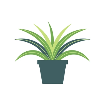 Free Spider Plant Clipart to Edit Online