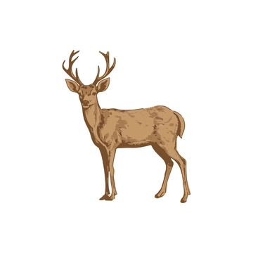 Free Realistic Deer Clipart to Edit Online