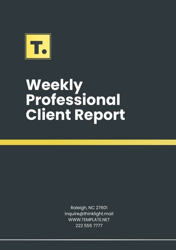 Free Weekly Professional Client Report Template to Edit Online