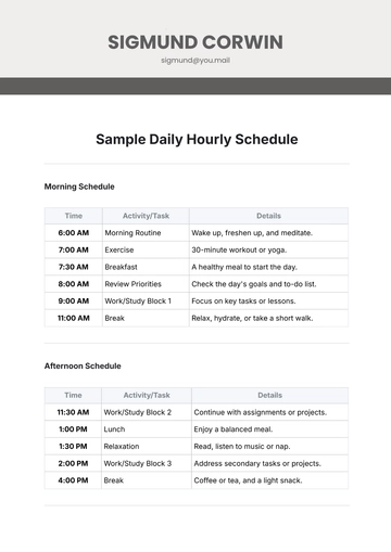Free Sample Daily Hourly Schedule Template to Edit Online
