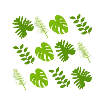 Free Tropical Patterns Clipart to Edit Online