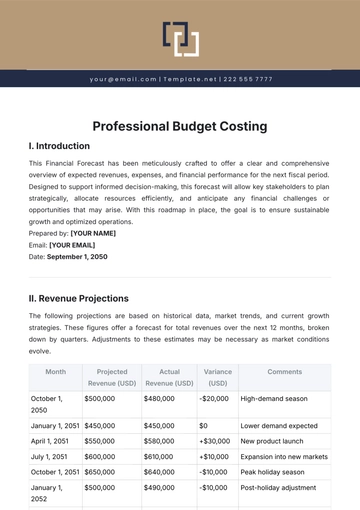 Free Professional Budget Costing Template to Edit Online