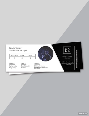 Simple Concert Ticket Template