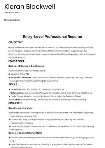Free Entry-Level Professional Resume Template to Edit Online