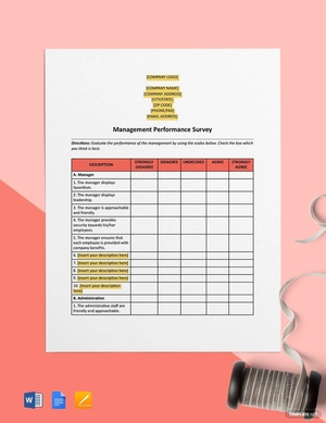 Management Performance Survey Template