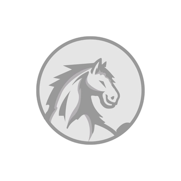 Free 3D Horse Clipart to Edit Online