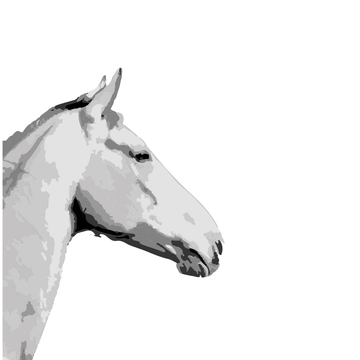 Free Realistic Horse Clipart to Edit Online