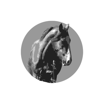 Free Wild Horse Clipart to Edit Online
