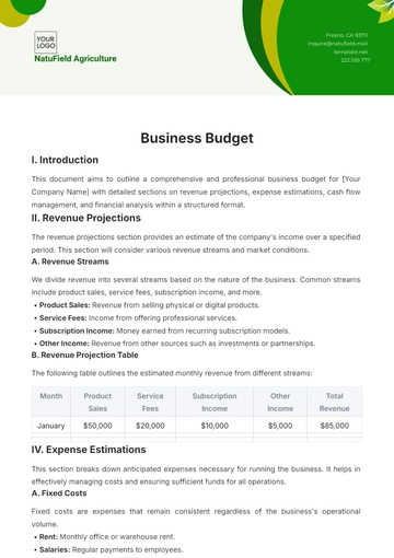 Free Business Budget Template to Edit Online