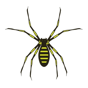 Free Transparent Spider Clipart to Edit Online